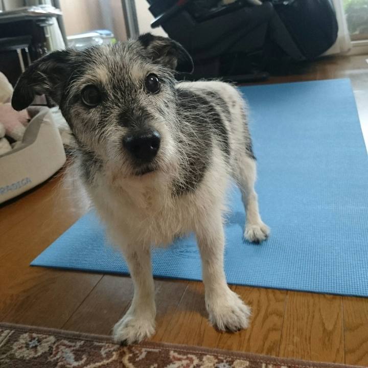 Ac72475d 9a01 4e70 b6bf 0a02e1645007