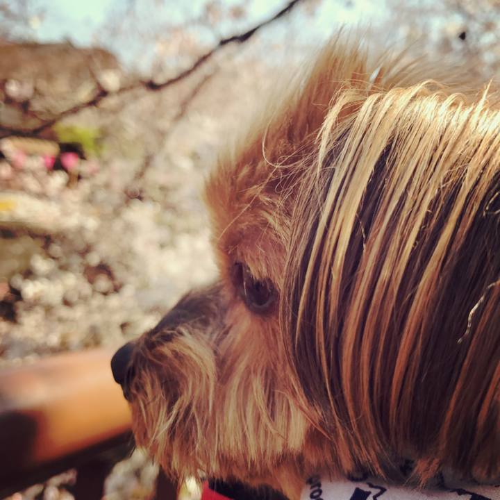 Ac724c66 7c06 4f6b b062 fbb6b3f7fbde