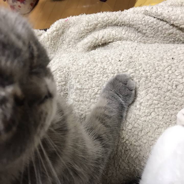 Ac729cc8 92a2 4b7d b4b1 8153d7b218d6