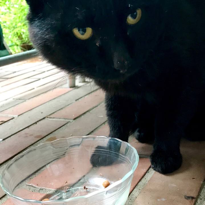 Ac72df6f 46ea 455f bc88 c794d0c021bd