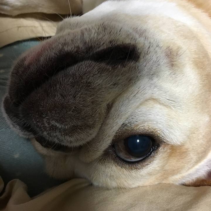 Ac733161 92be 48be 93f7 f1a647df21d6