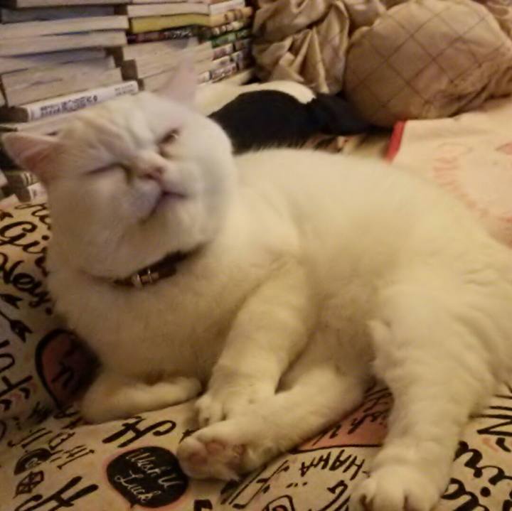 Ac74849d 687c 484e be27 277180025b6e