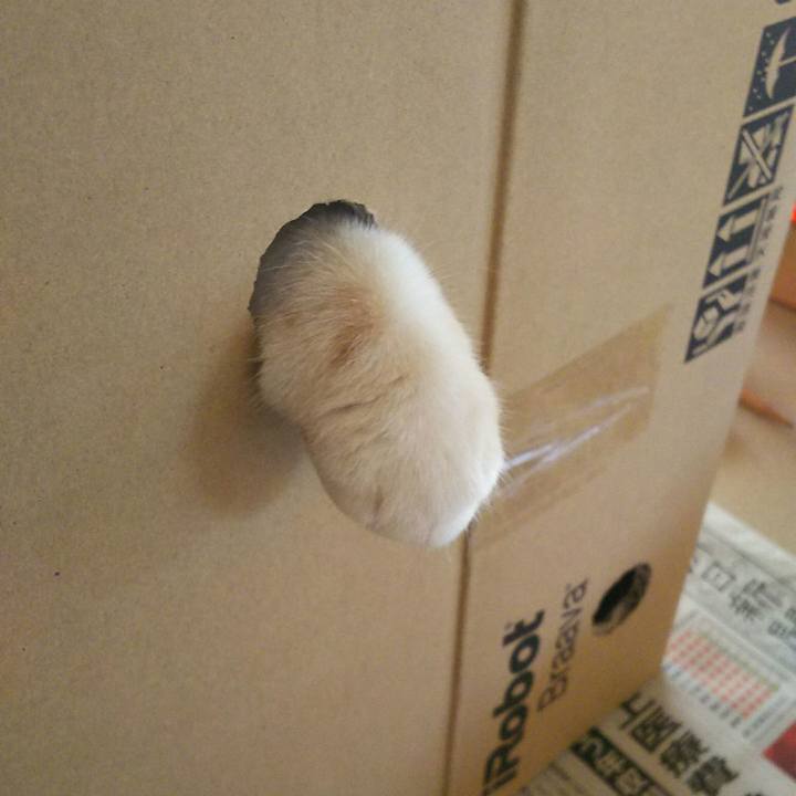 Ac74c37d a100 41fb b06a a99ebb95f919