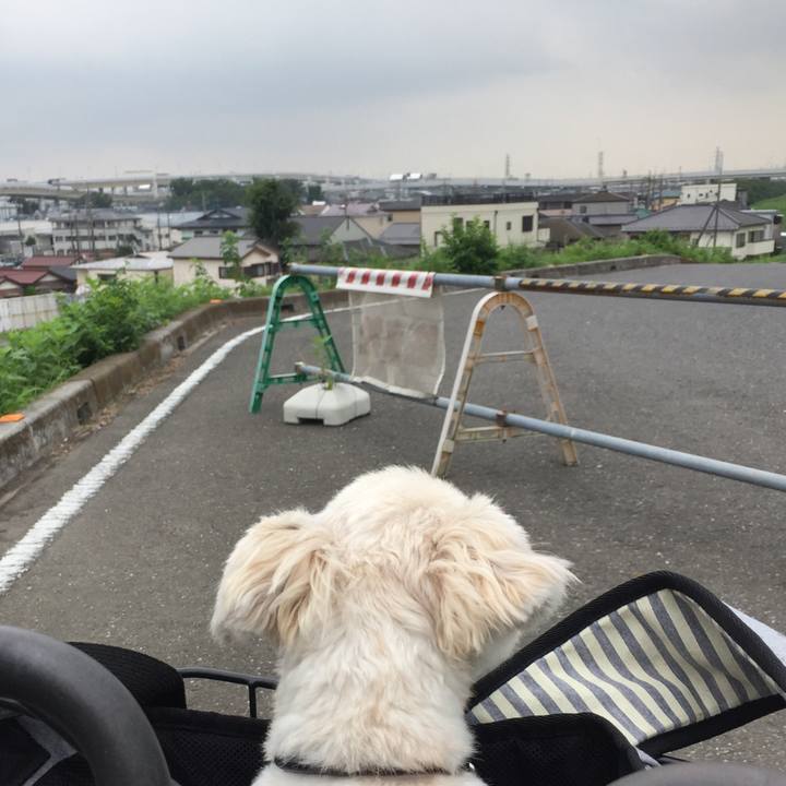 Ac757338 d095 4650 a88e c46c06ca66e6