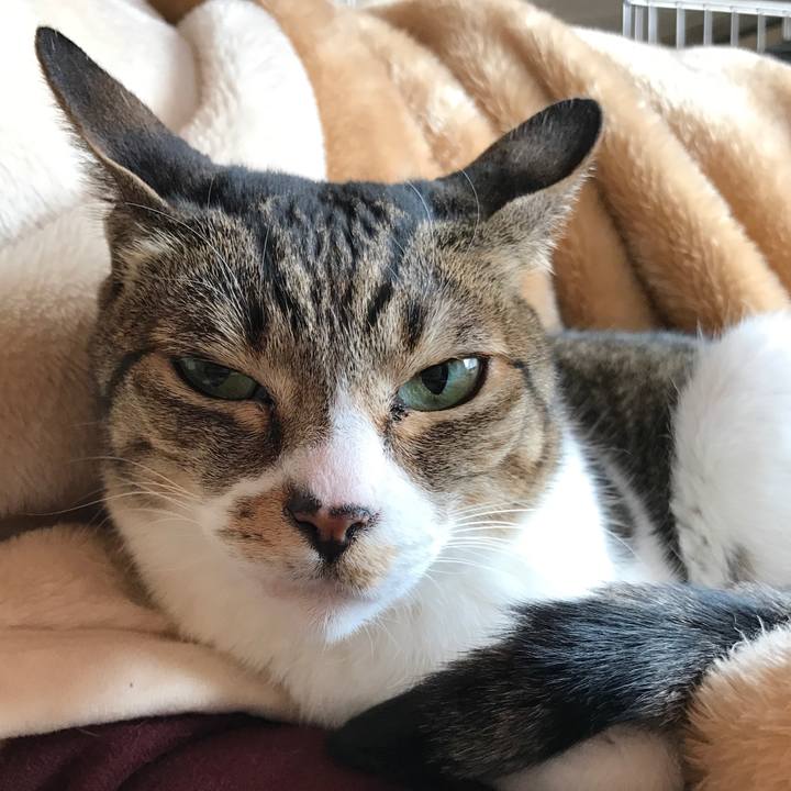 Ac7598ce 9098 442b 96b8 3cee19ff773e