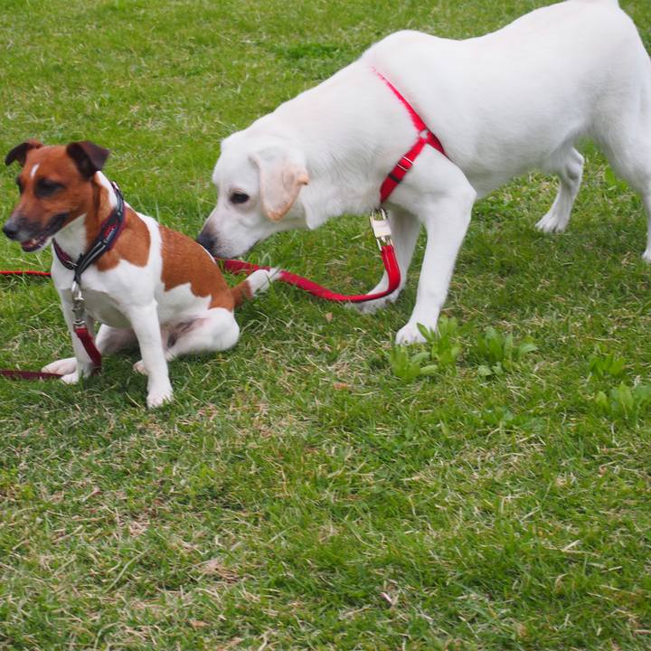 Ac75c77e 46a7 44de 946c 8c7d895d90ac