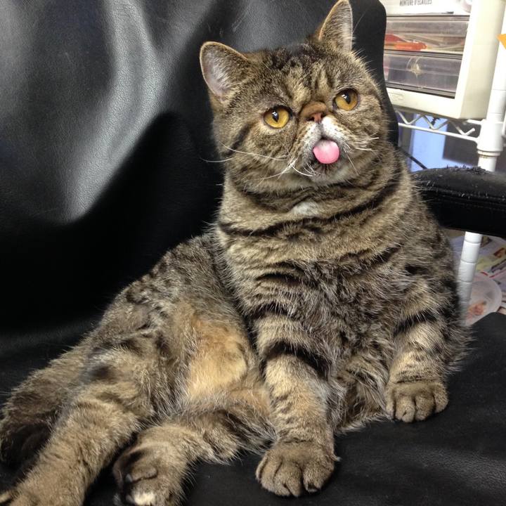 Ac75e44c 7a33 4b03 8c2e ee3a7d63f217