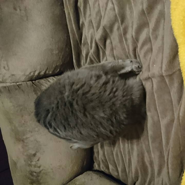 Ac763189 dd61 4c69 8c62 8e8ca34f6748