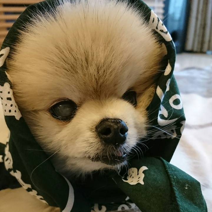 Ac766c21 f11d 4b99 ba3e 2b3e9deedfcd