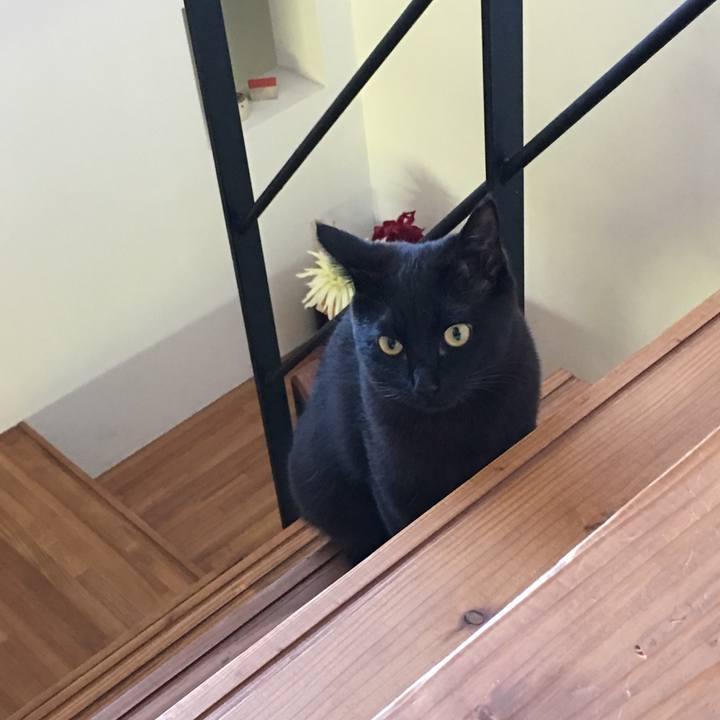 Ac7727cf a749 4242 ad5c c58145d85027