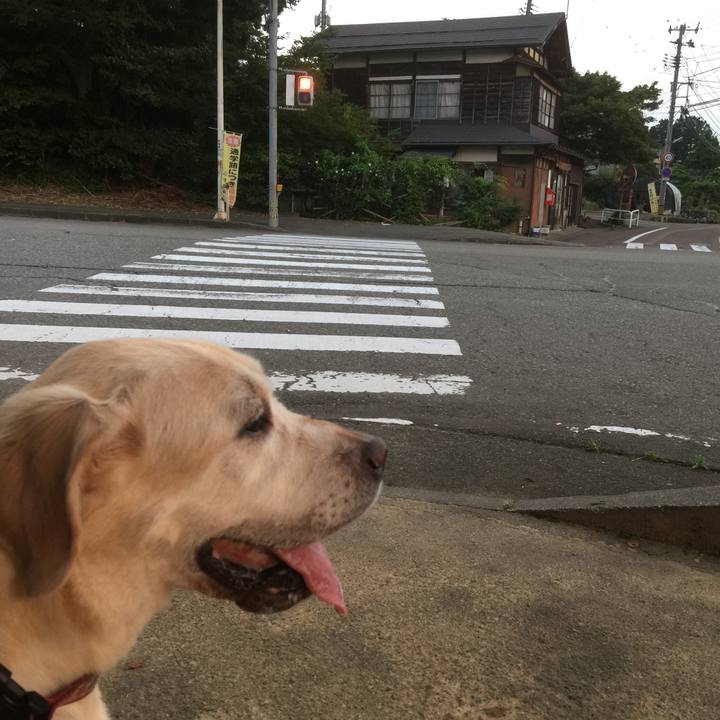 Ac77438e 178e 48fd ac06 715fa6094ea5