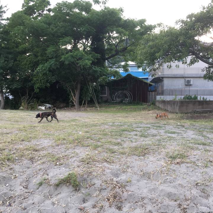 Ac7798c4 e1d1 4d97 b289 8962fe3d7bcf