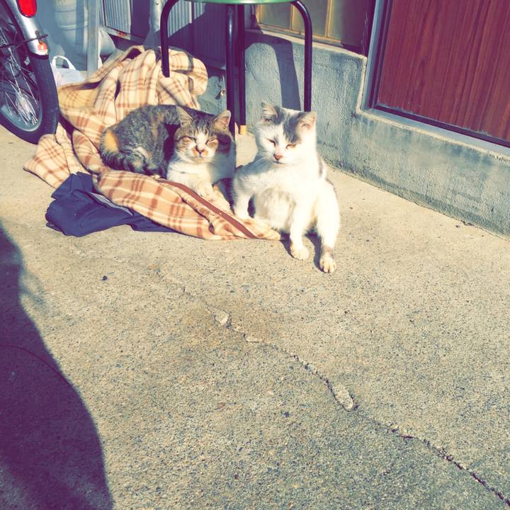 Ac77fbdb 4244 4bf4 8be5 81765d5d2027