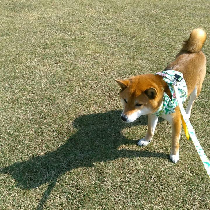 Ac7a5918 3a1e 4aef acbb e4e6e9505bc3