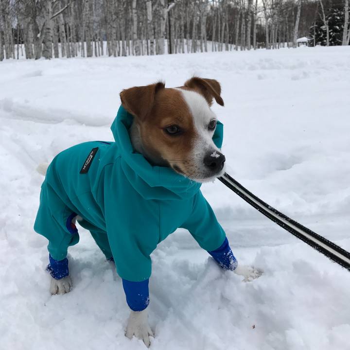 Ac7b375f 0e11 4164 9e2e e0d0b24e7f7f