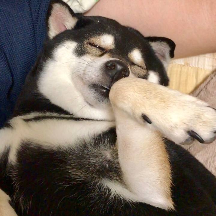 Ac7cb9f9 c488 4d24 bc1f ae60c969bedf