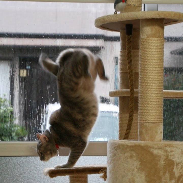 Ac7cda9c 4a89 48c6 aa7d 369c57a89082