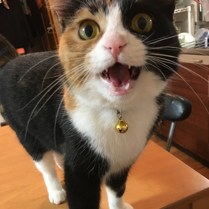 Ac7cf25b 2977 489b 9587 de305e8195f6