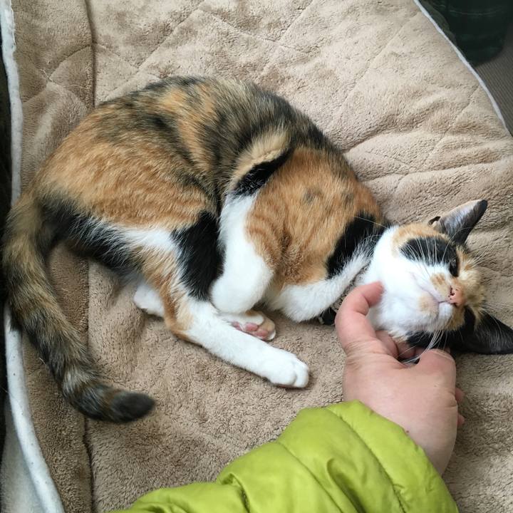 Ac7e06d6 5add 4c6a adac d517a1e7aec2