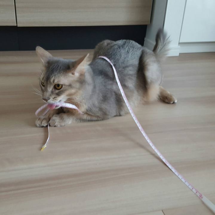 Ac7f184d 92a7 4690 ba69 02079b673473