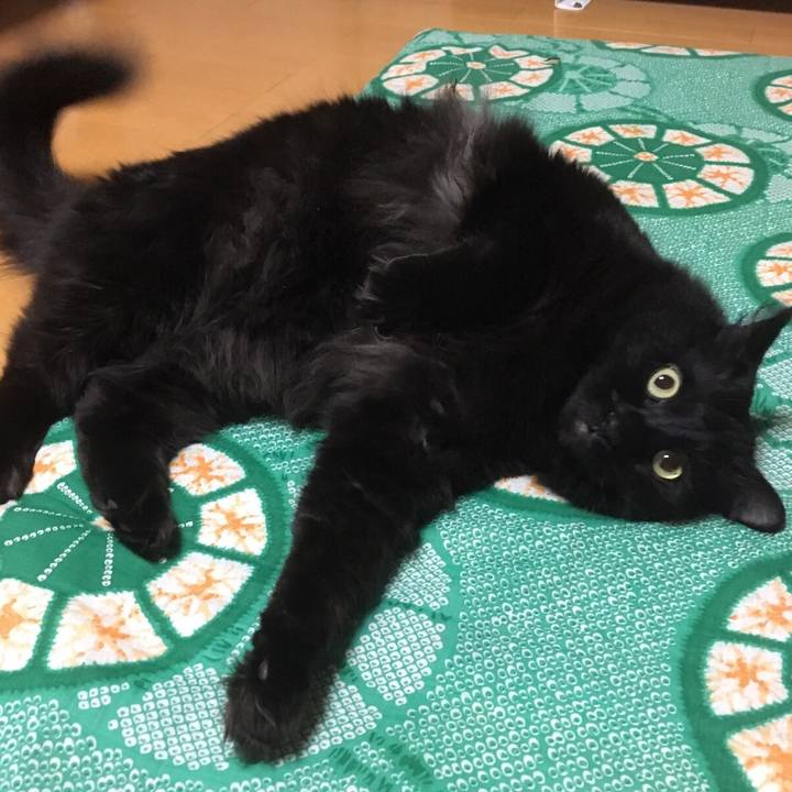 Ac7f2e80 2fc0 44f9 b3e8 bbaa2b72326d