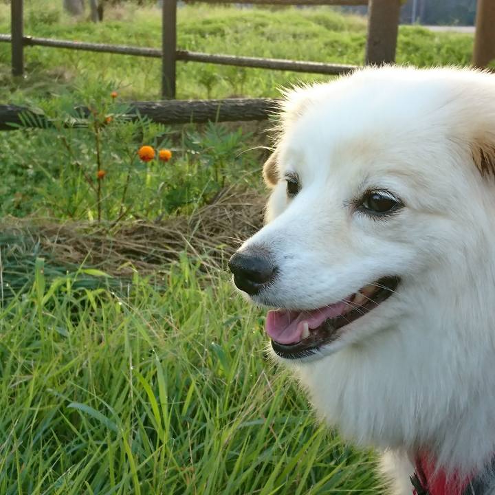 Ac7f34af c632 4787 9519 71adc5408483