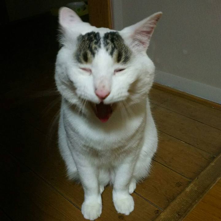 Ac80503c aebe 4371 bcdb 094b75e8eb78