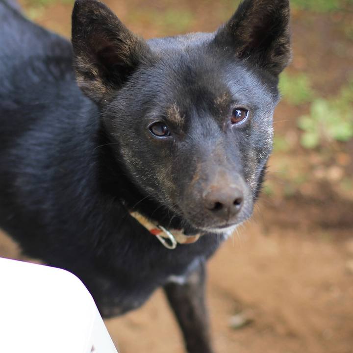 Ac80e668 8dc6 466d a322 5f89198fcee1