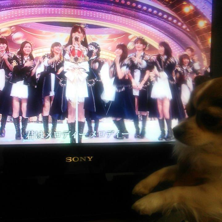 Ac811f8e 4691 4467 a658 0fde9df709e6