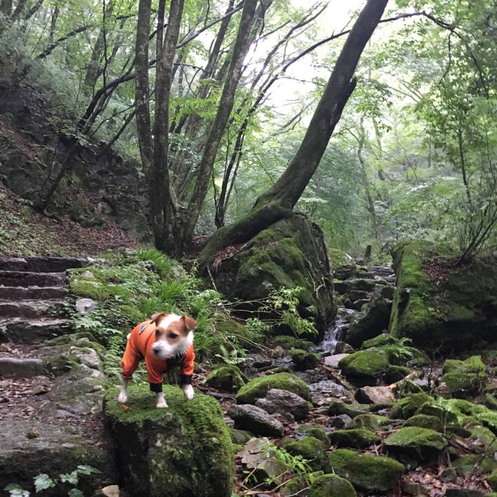 Ac81b068 640c 4186 87c1 396b8f29ffad