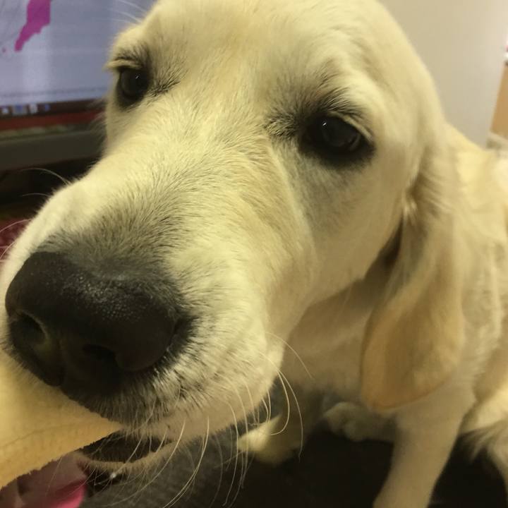 Ac823d47 3bf2 47ac 91c8 e2f8b3d59f54