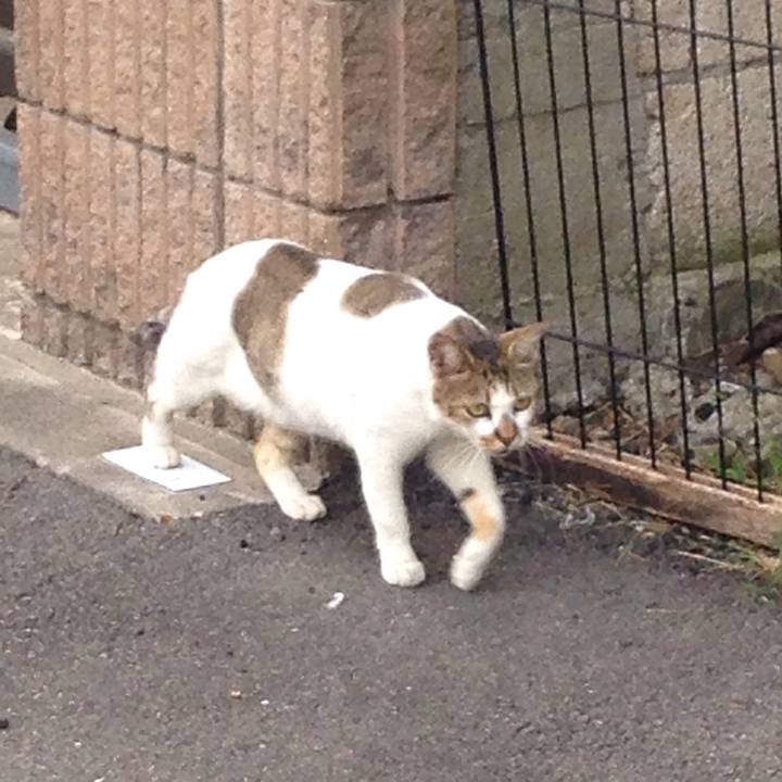 Ac83644b aa3a 4c32 bfc5 aedbe14a1dd2