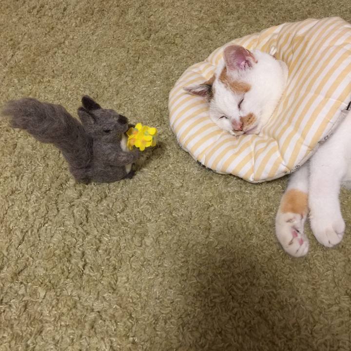 Ac846034 99fd 427d a5c5 b57aa086f272