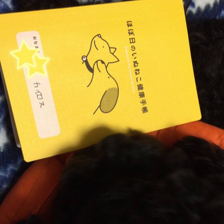 Ac86ee37 6b12 4014 a85e 1521f152d93c