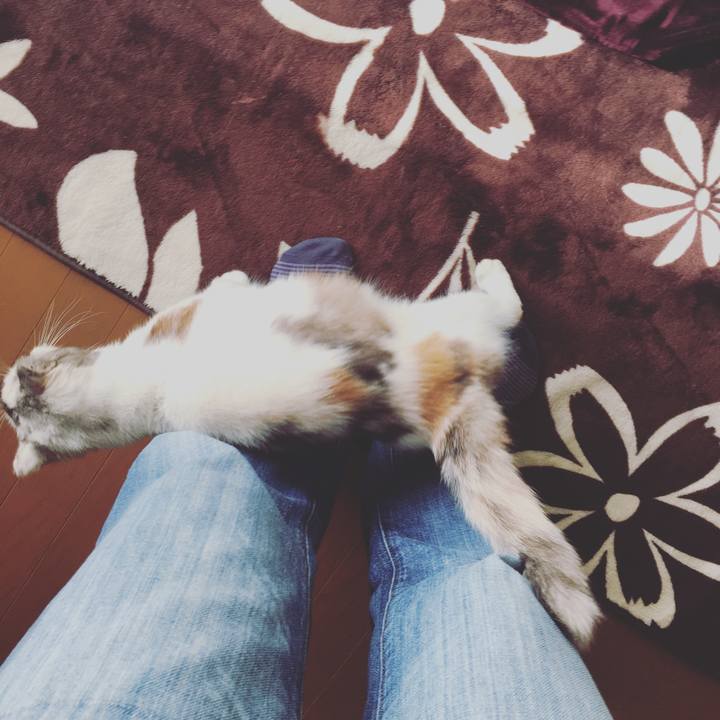 Ac87fc88 8343 482e b2b1 6425da3f8f86