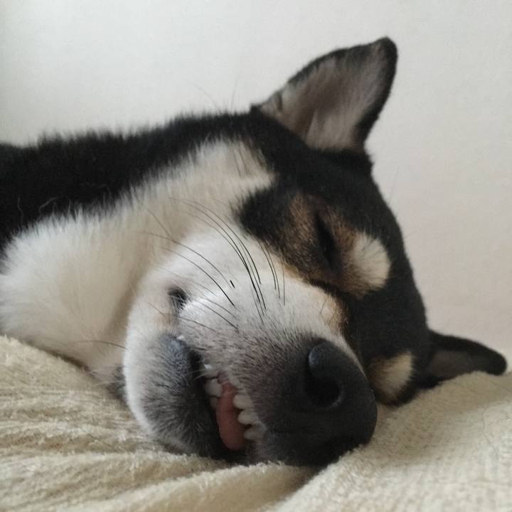 Ac880a06 d84f 4735 bb33 0759e32aa0b7