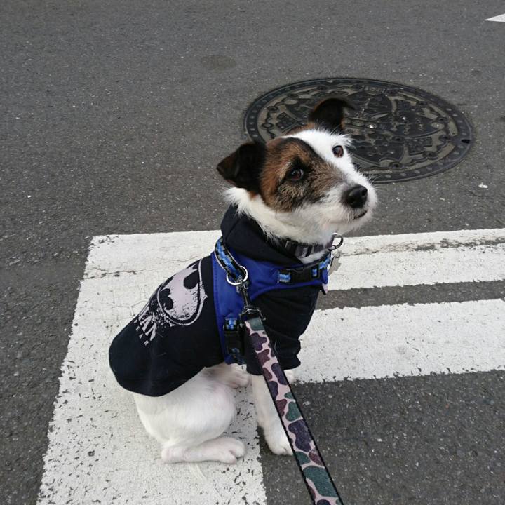 Ac88124b 149a 4180 b778 ddf8f292bb7d