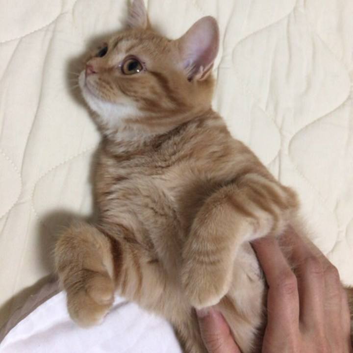 Ac88536d a11b 446d b4f2 aa05515151bc