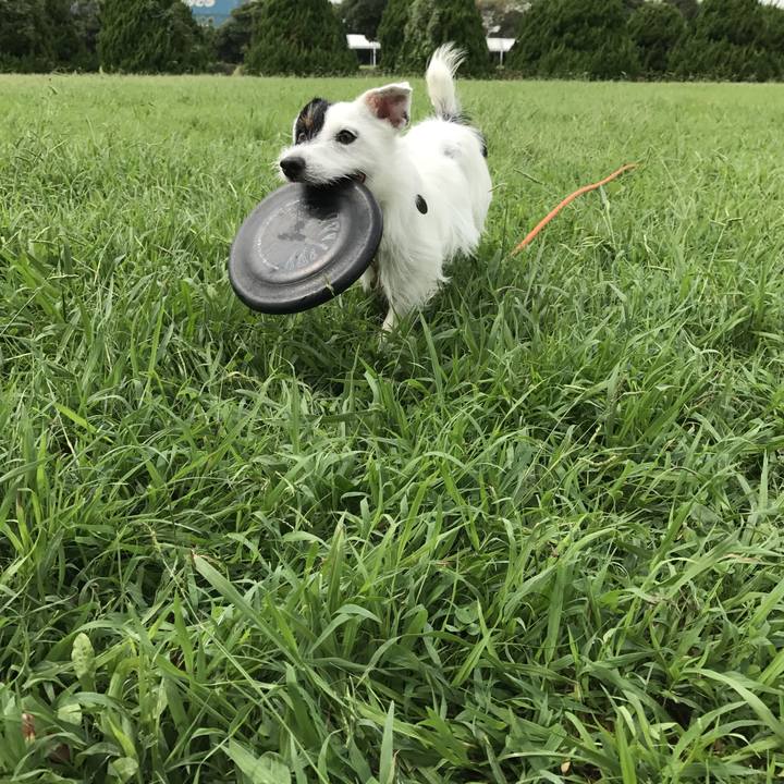 Ac88cd6c 36ec 4921 891b fd23c421a0b0