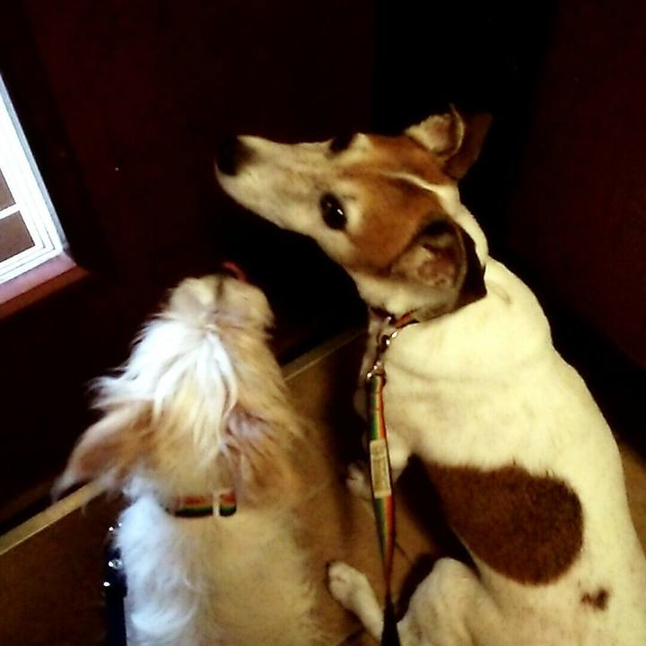 Ac899ea8 cd73 4b15 b26c 39e0b57d9977