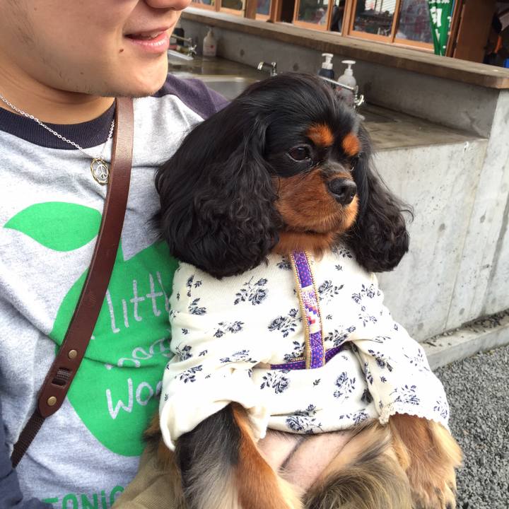 Ac8a1afd a4ff 4536 941f f5e219f3ec5f