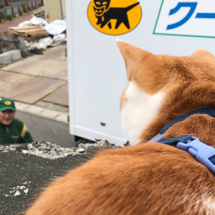 Ac8acb75 fe1d 4cf1 ad18 ac2315bf770a