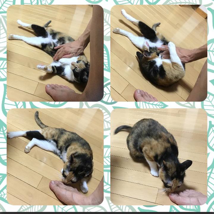 Ac8ad0e0 537f 43ae 8bf8 039b0e1ee095