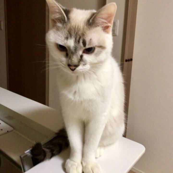 Ac8b0b10 29e7 4cbe 9160 d8e5805a54ad