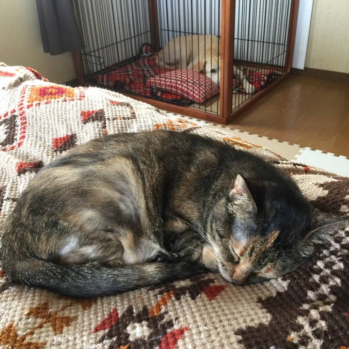 Ac8b4a1b e859 47c3 bd3a 4415f8ca0262