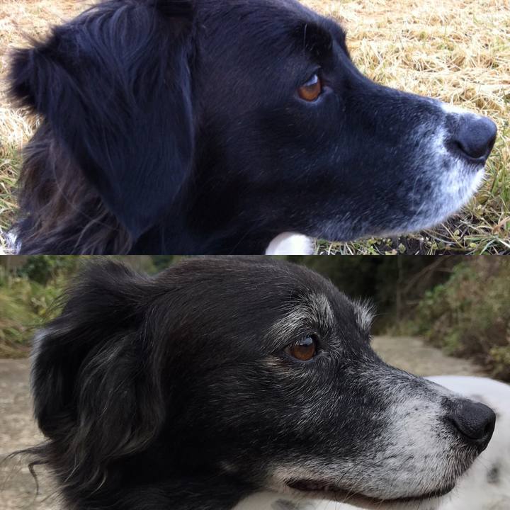 Ac8cb4e3 dc27 441d a507 972529c8e370