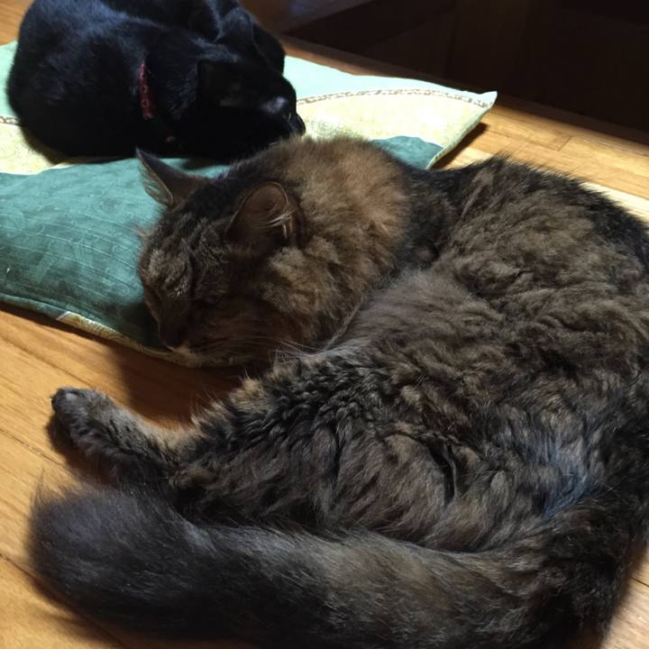 Ac8cd752 3465 4e45 b43c c8d00595817f