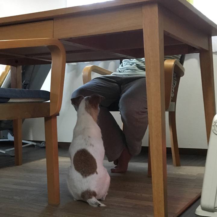 Ac8d7dc7 a764 4cd0 a8bd 6153d5832b16