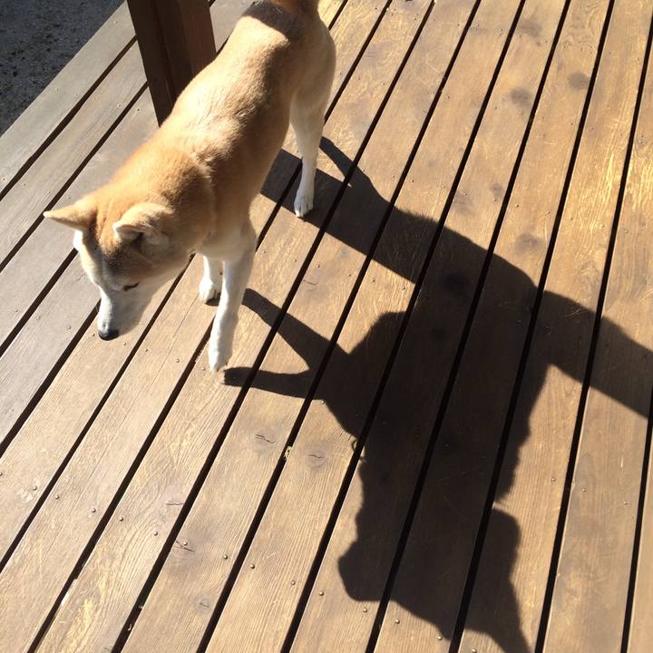 Ac8d8278 d30e 4786 831a 64a609df9b59