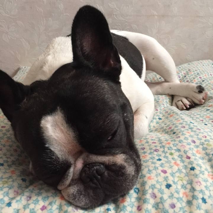 Ac8e7781 b5b0 4fba 8e8b b5f67cdb899f